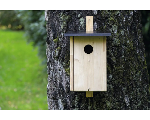 Vogelhaus aus Holz mit rundem Eingangsloch an einem Baum befestigt