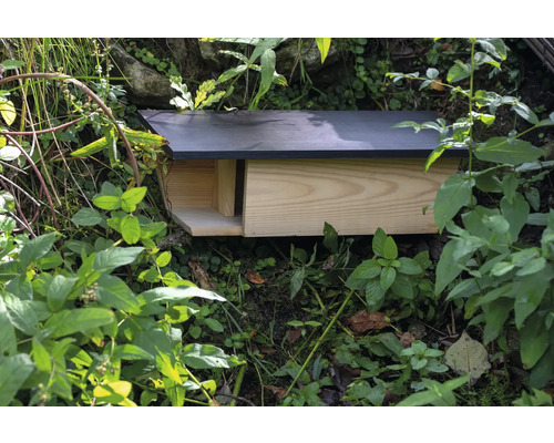 Nichoir à chauves-souris en bois dans le jardin entre les plantes