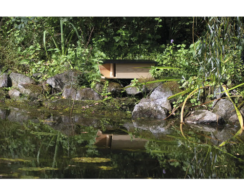 Paysage d''étang avec un abri à canards en bois sur des rochers au bord de l''eau.
