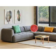 Wohnzimmer mit grauer Eckcouch, Kissen, Couchtisch und Wandbildern