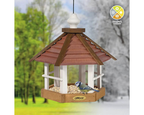 Mangeoire à oiseaux avec nourriture et mésange bleue