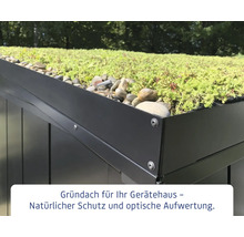 Gründach für ein Gerätehaus mit Bepflanzung und Steinen