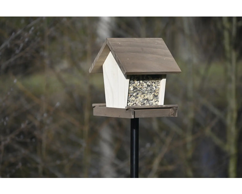 Mangeoire à oiseaux avec nourriture sur un poteau