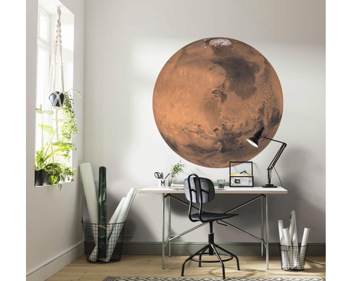 Bureau décoratif avec un papier peint mural de la planète Mars au-dessus d''un bureau.