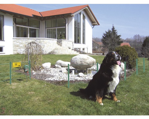 Ein Berner Sennenhund sitzt vor einem Haus mit einem Garten, der mit einem Weidezaun geschützt ist.