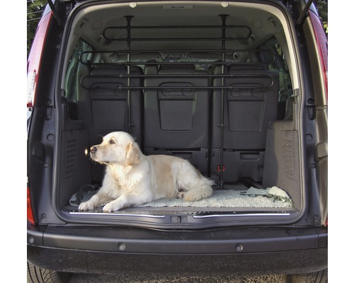 Chien allongé dans le coffre avec une grille pour chien