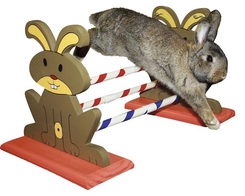 Lapin sautant par-dessus un parcours d''obstacles avec des motifs de lapin.