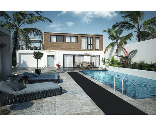 Vue extérieure d''une maison avec piscine, chaises longues et palmiers