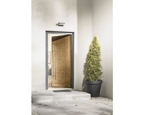 Geöffnete Haustür aus Holz mit Edelstahlgriff, Außentreppe und Pflanze im Topf