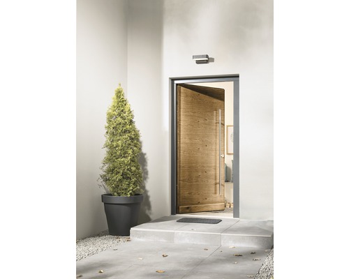 Eingangsbereich mit Haustür, Aussenleuchte und Pflanze in einem Topf