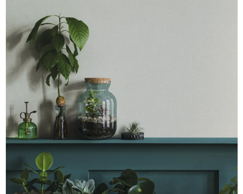 Dekorative Szene mit Pflanzen in Glasgefäßen und einer Sprühflasche auf einem Regal