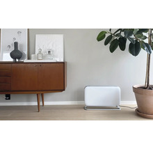 Scène avec un appareil de chauffage, une commode et une plante d''intérieur dans une pièce.