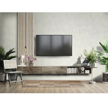Salon avec télévision, meuble bas, chaise et décoration pour un intérieur élégant.