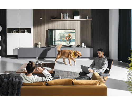 Salon avec canapé, fauteuil, meuble bas et télévision. Deux personnes et un chien se trouvent dans la pièce.