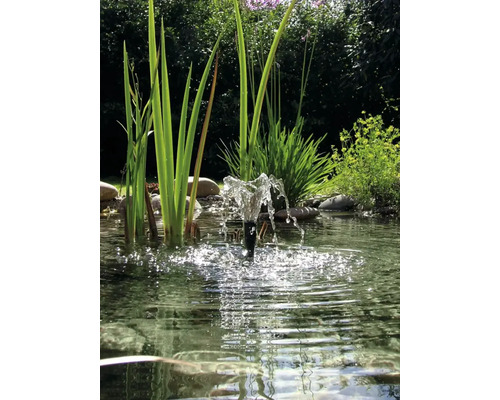 Bassin de jardin avec jet d''eau, plantes et pierres