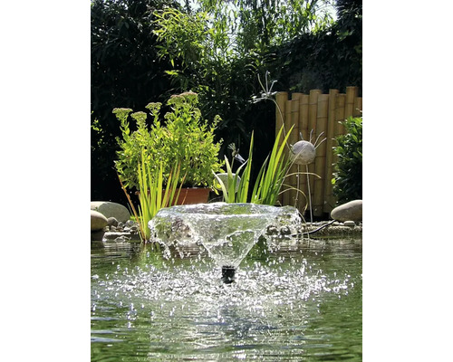 Bassin de jardin avec fontaine, plantes et éléments de décoration