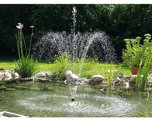 Bassin de jardin avec fontaine, plantes et pierres