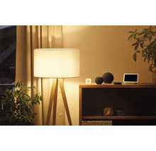 Beleuchteter Raum mit Stehlampe, Regal und Smart Home Geräten