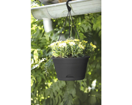 Suspension avec des fleurs jaunes, fixée à une gouttière