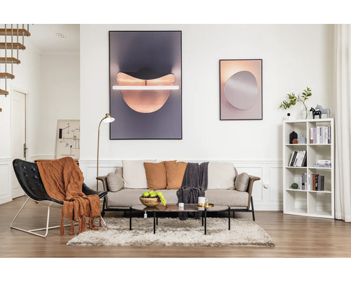 Salon avec canapé, fauteuil, table basse, étagère et décoration