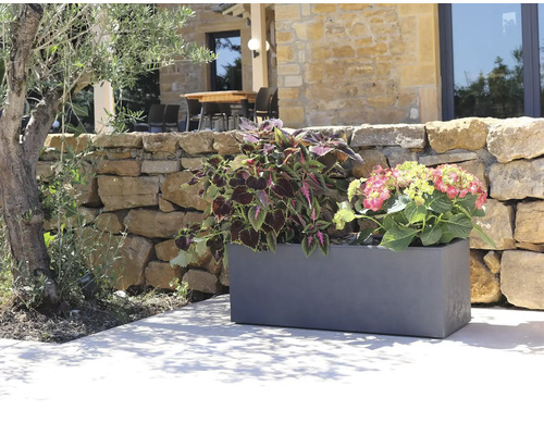 Jardinière en plastique avec des plantes devant un mur de pierre