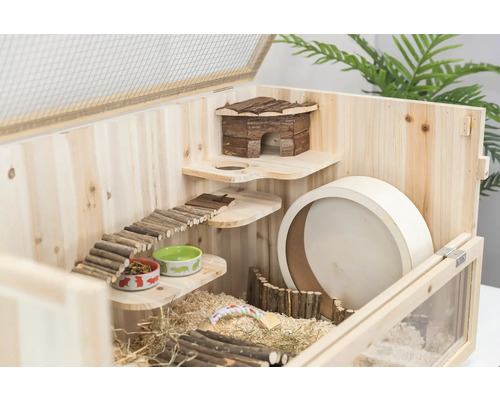 Vue intérieure d''une cage de hamster en bois avec roue d''exercice, mangeoire, cabane et rampe d''escalade