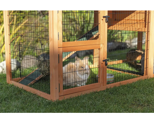 Clapier à lapin en bois avec grillage noir et lapins