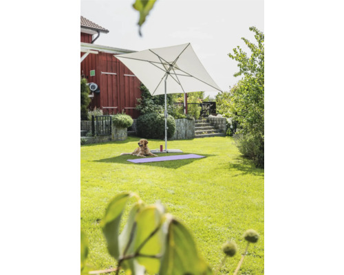 Parasol carré fournissant de l''ombre dans le jardin, un chien est allongé sur un tapis violet.