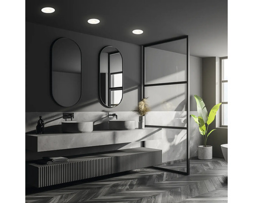 Salle de bains moderne avec double vasque, miroirs, paroi de douche et plante d''intérieur