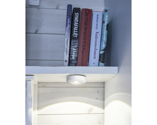 Étagère avec des livres et une lampe sous meuble ronde