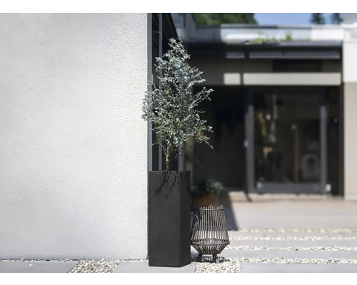 Extérieur avec une plante dans un grand pot foncé et une lanterne décorative