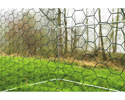 Gros plan d''un grillage à poule dans un jardin