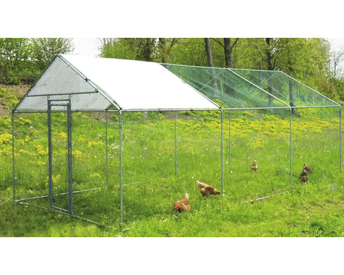 Parc en liberté avec poules dans un pré