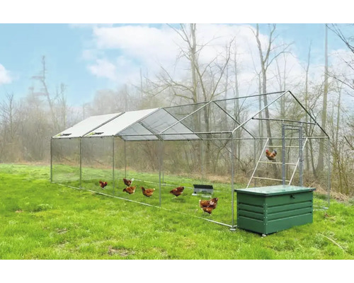 Poulailler avec poules dans le jardin