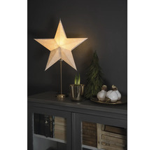 Scène décorative avec étoile lumineuse, bulbes et petit sapin sur une armoire