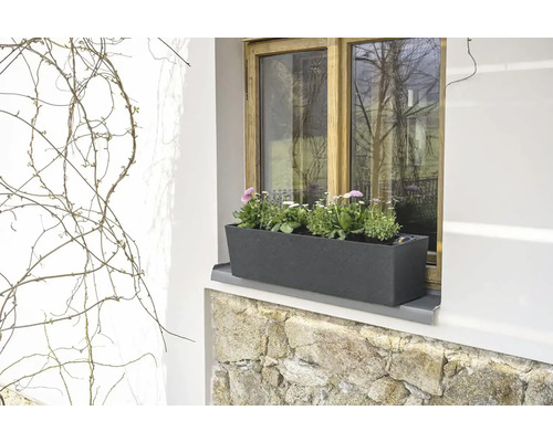 Fenster mit Blumenkasten und blühenden Pflanzen