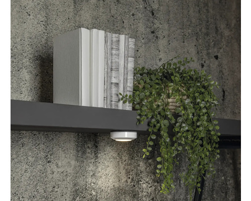 Faux livres décoratifs, plante en pot et luminaire sous armoire sur une étagère