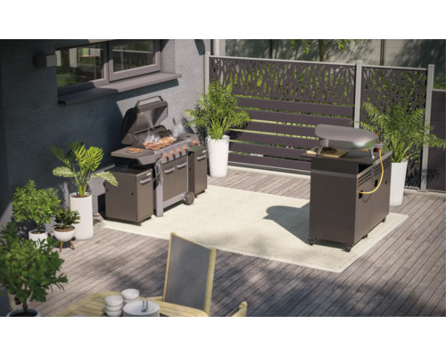 Espace extérieur avec barbecue, four à pizza, plantes et écran d''intimité