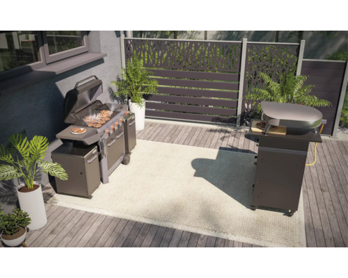 Espace extérieur avec barbecue, four à pizza et écran de confidentialité décoratif