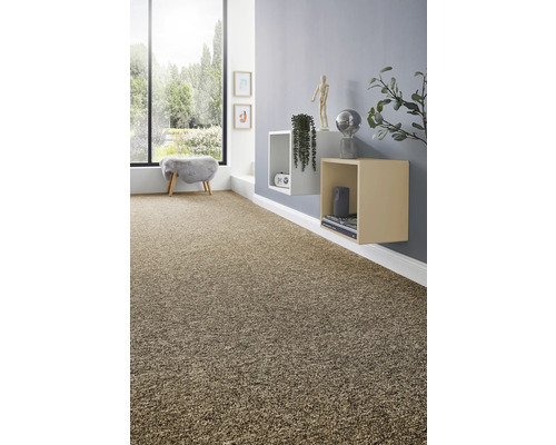 Salon avec moquette, étagères et fenêtre