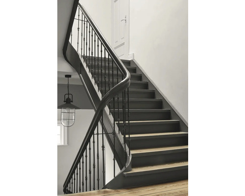 Escalier avec rampe et marches dans une maison.