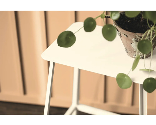 Chinesische Geldpflanze in einem Topf auf einem Beistelltisch