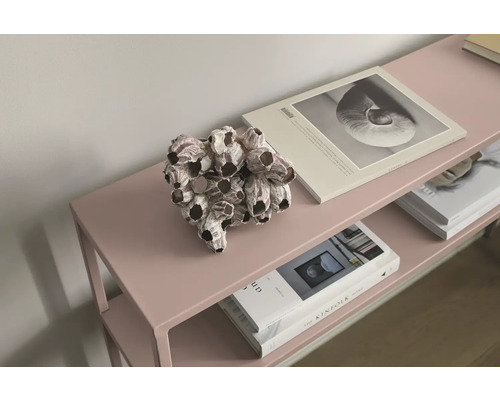 Arrangement décoratif de balanes sur une étagère avec des livres.