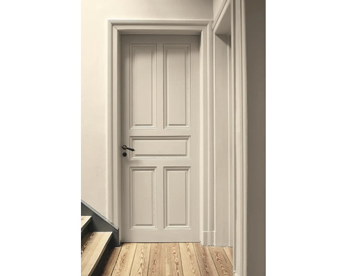 Porte intérieure classique à cinq panneaux avec cadre de porte