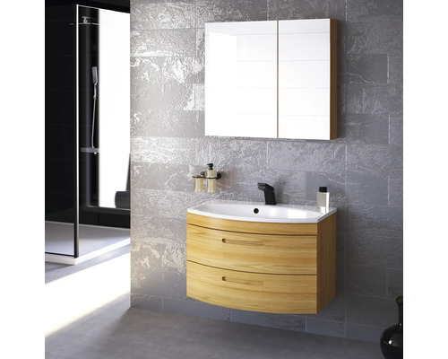 Scène de salle de bains avec meuble sous-lavabo, lavabo, armoire de toilette et douche