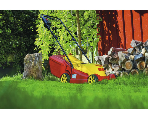 Tondeuse à gazon dans le jardin