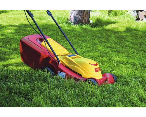 Tondeuse à gazon sur une pelouse