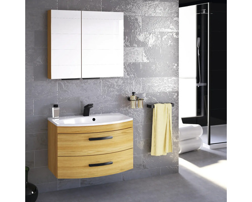 Salle de bain avec meuble sous-lavabo, lavabo et armoire de toilette