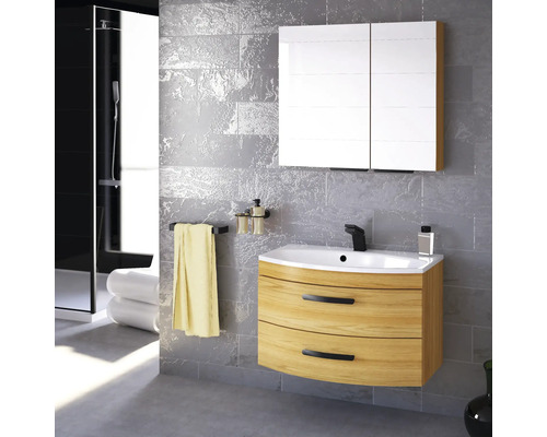 Salle de bains moderne avec meuble-lavabo, armoire de toilette et douche