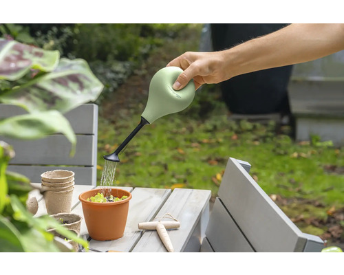 Une personne arrose une plante en pot sur une table avec un arrosoir.